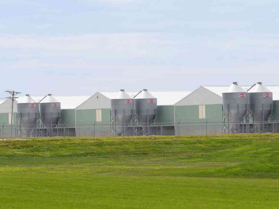 Buildings at Wright County Egg Buildings at Wright County Egg